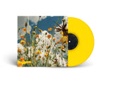 Tasha // You Are Spring! LP [COLOR]