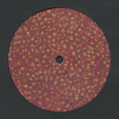 Zenker Brothers // The Schyren 12inch