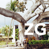 ZG s/t LP