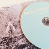 Devid Ciampalini // Sorgente CD