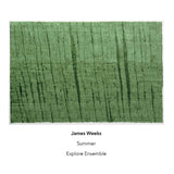 James Weeks // Summer CD