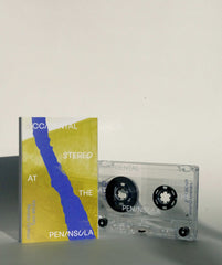Renato Grieco & Tom White // Accidental Stereo at the Peninsula TAPE