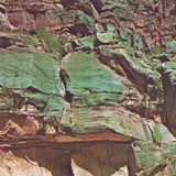 Skjell // Painted Rock TAPE