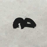 A_A (Satoshi Tomiie + Nao Gunji) // A_A 2x12inch