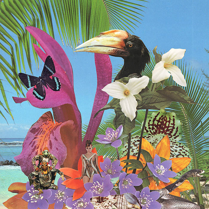 Monster Rally // Adventures on the Floating Island LP – Tobira Records