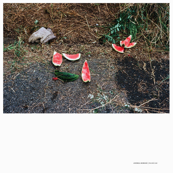 Andrea Borghi // Palsecam LP