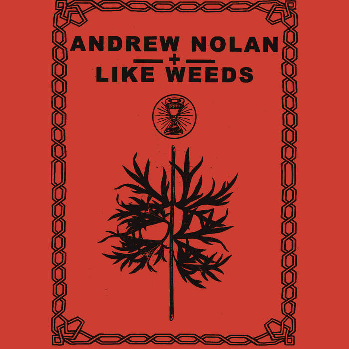 Andrew Nolan + Like Weeds // s / t TAPE