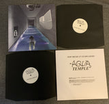NEW MEXICAN STARGAZERS // AQUA TEMPLE LP