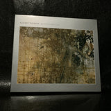 Robert Turman // Beyond Painting CD