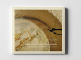 Szilárd Benes / Tilen Lebar // Bijna Samenhangend In Rotunda: Garrulous Quietness CD