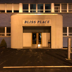 Brin & Josiah Steinbrick // Bliss Place LP / TAPE