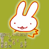 SONIC DRAGOLGO // My Sweet Honey Bunny LP