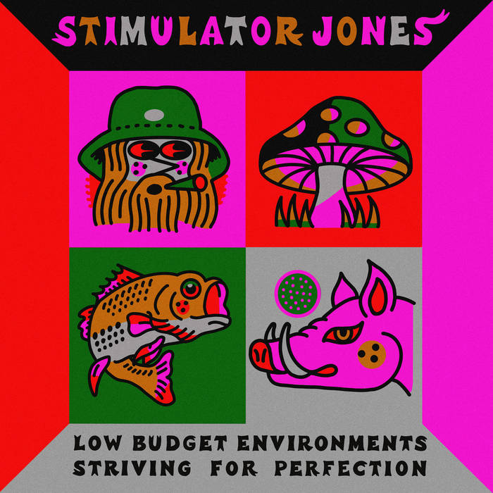 Stimulator Jones // Low Budget Environments Striving For Perfection LP