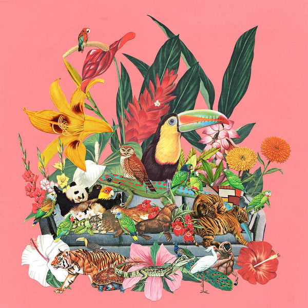 Monster Rally // Castaways Vol. 1 2xLP – Tobira Records