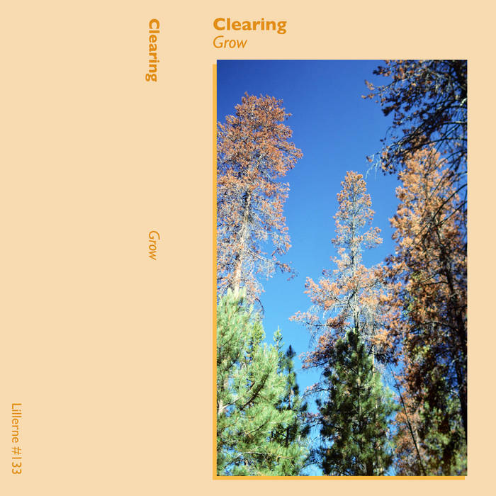 Clearing // Grow TAPE
