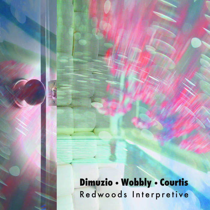 Dimuzio / Wobbly / Courtis // Redwoods Interpretive LP