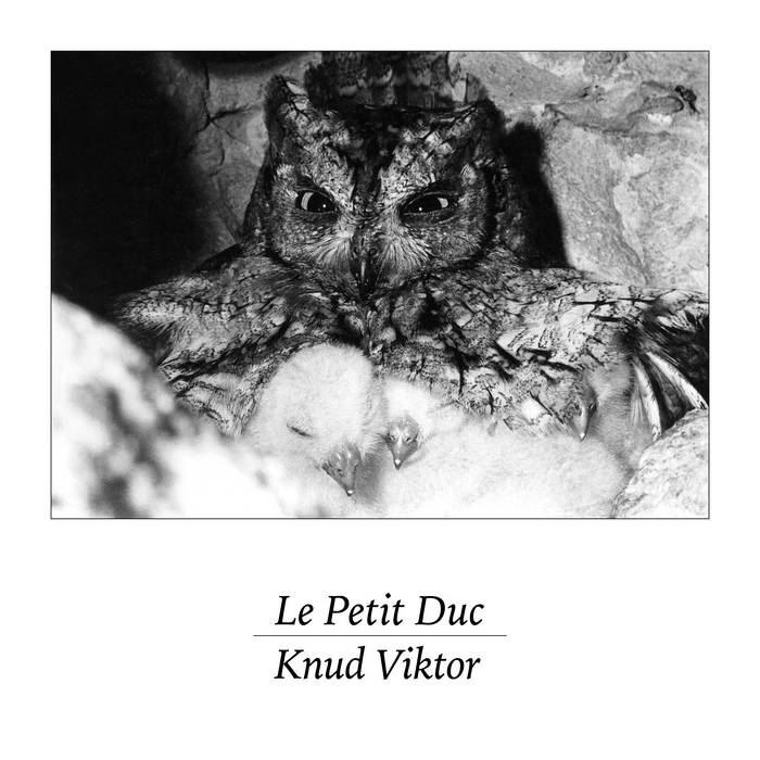 Knud Viktor // Le Petit Duc 7"