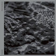 Alfredo Costa-Monteiro // Endlessness LP