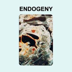 Gen Ken Montgomery // Endogeny CD