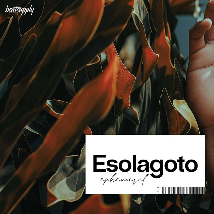 Esolagoto // Ephemeral TAPE