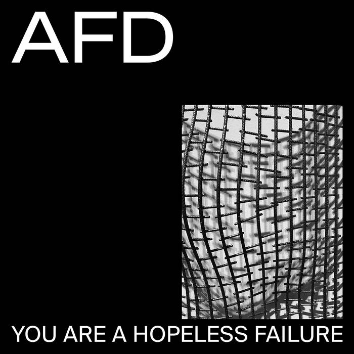 Anna Funk Damage // You are a hopeless failure LP