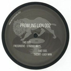 Freegroove / Theory 12"