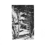 Rick Deitrick // Gentle Wilderness LP