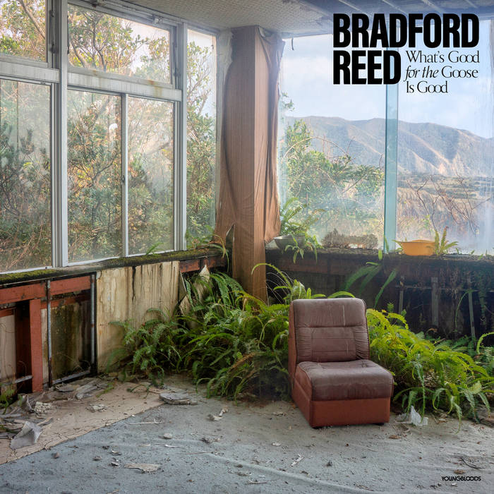 Bradford Reed // What's Good for the Goose Is Good LP