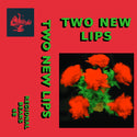 Various Artists (Regional Bears) // Two New Lips TAPE