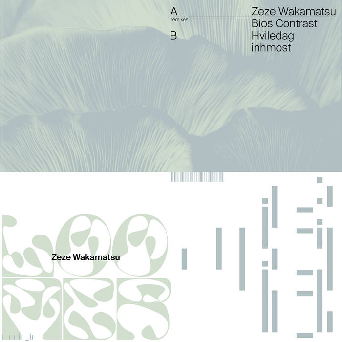 Zeze Wakamatsu // Loomer & the remixes TAPE