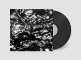 Grouper // AIA: Dream Loss LP