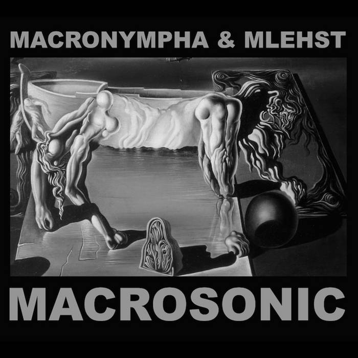Macronympha & Mlehst // Macrosonic CD