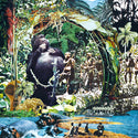 Visions Congo // Mulago Sound Studio LP