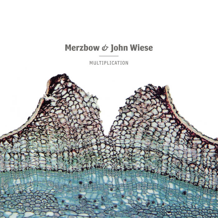 Merzbow & John Wiese // Multiplication CD
