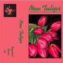 Various Artists (Regional Bears) // New Tulips TAPE