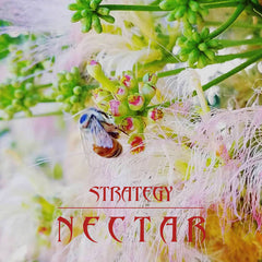 Strategy // Nectar CD