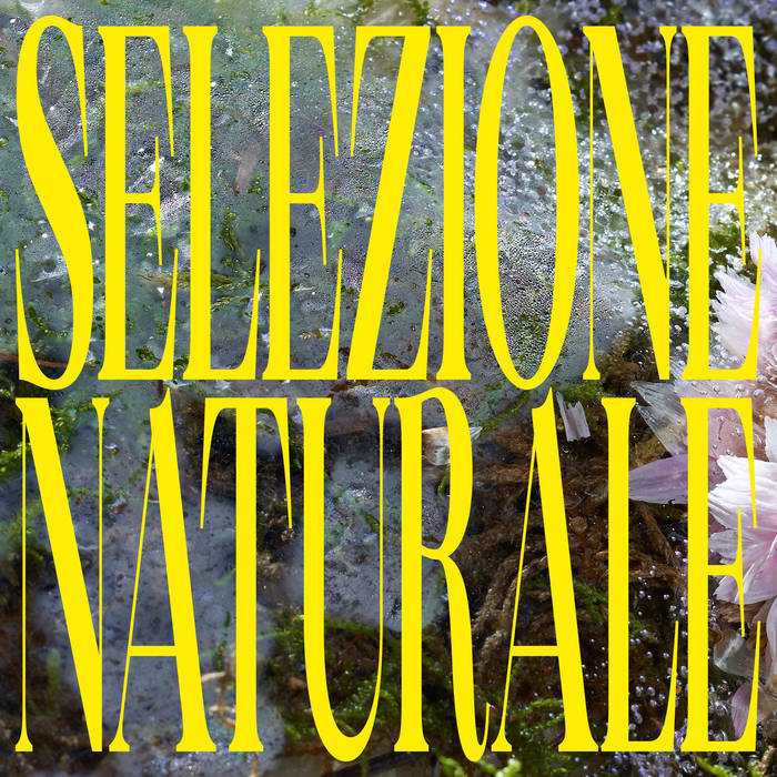Selezione Naturale // Nova Mundi Tape