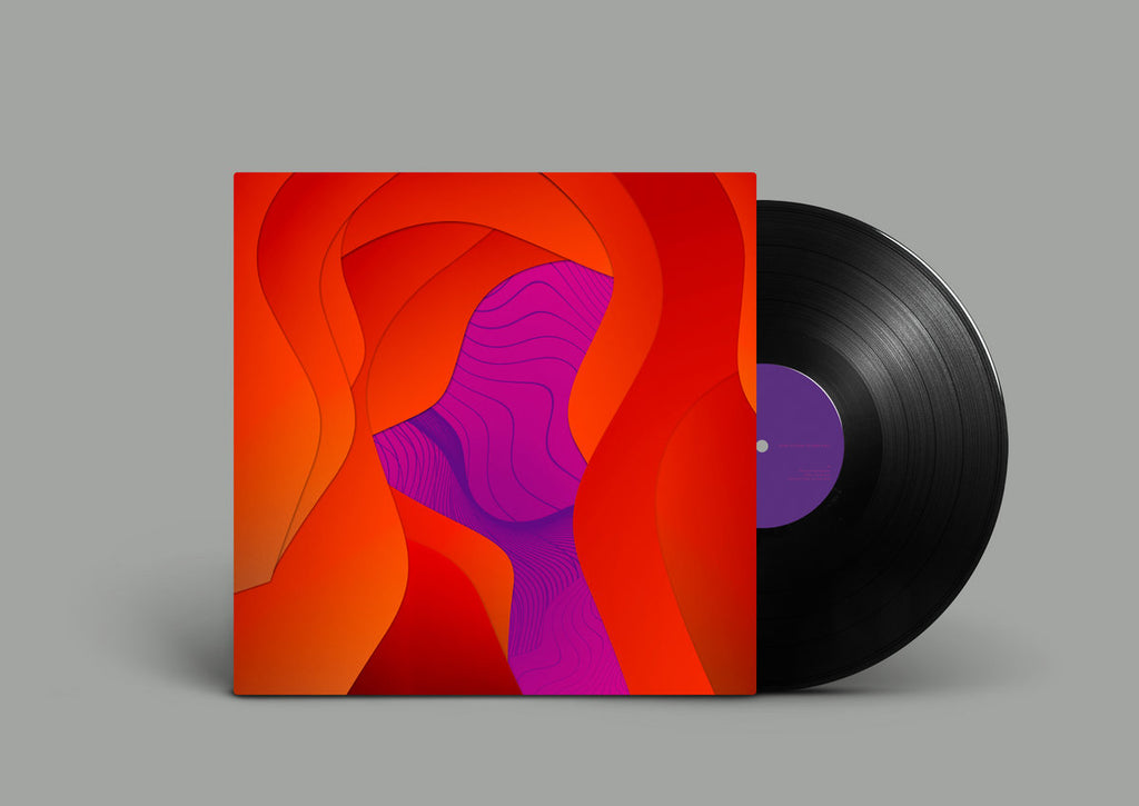 Deniz Cuylan // No Such Thing As Free Will LP – Tobira Records