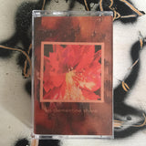 Clementine Shore // On Clementine Shore TAPE