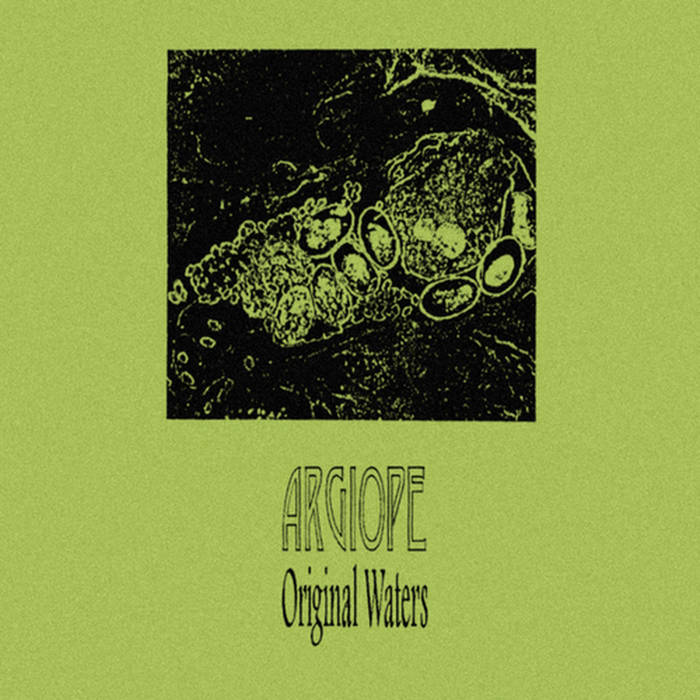 Argiope // Original Waters TAPE