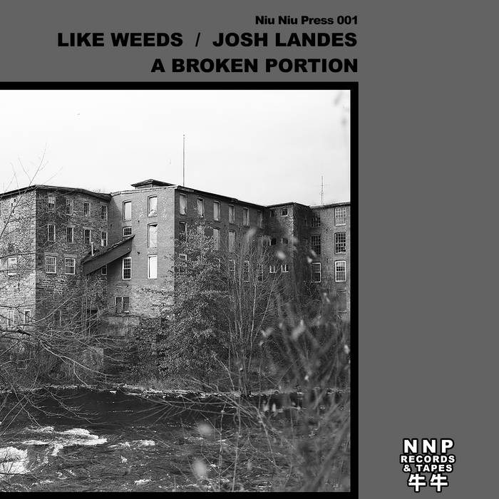 LIKE WEEDS / JOSH LANDES // A Broken Portion LP