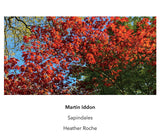 Martin Iddon // Sapindales CD
