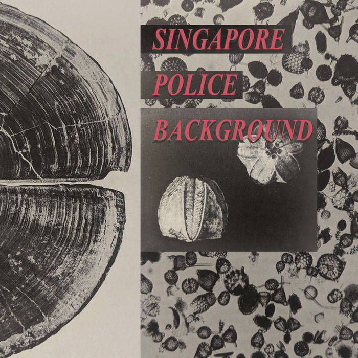 Singapore Police Background // s/t TAPE