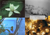 Various Artists // Sound In Picture PHOTOBOOK