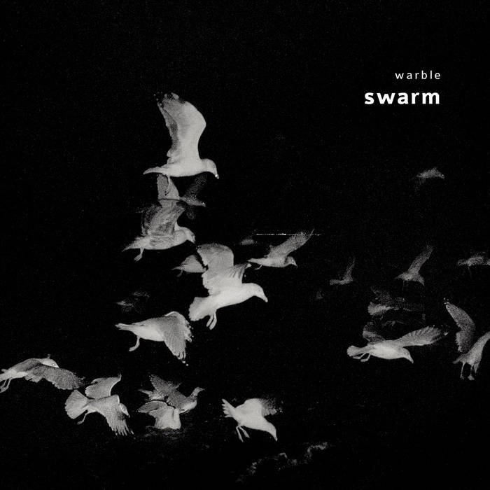 Warble (Brad Henkel / Miako Klein) // Swarm CD