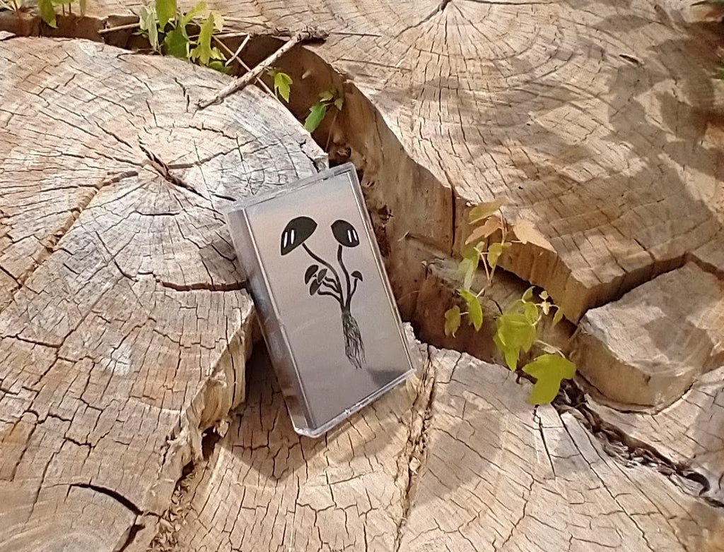Tserg / voyd // Split TAPE – Tobira Records