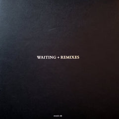 Emily Berregaard // Waiting + Remixes LP　