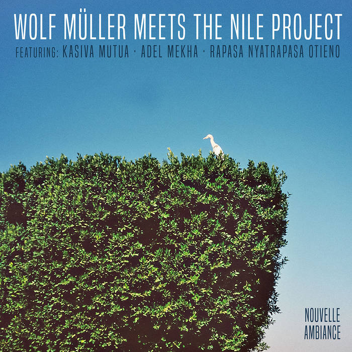 Wolf Müller meets the Nile Project // s/t 12"